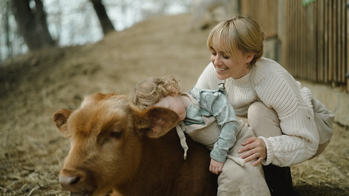 A mother and child share a joyful moment with a calf on a sunny farm day.